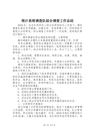 统计系统调查队综合调查工作总结