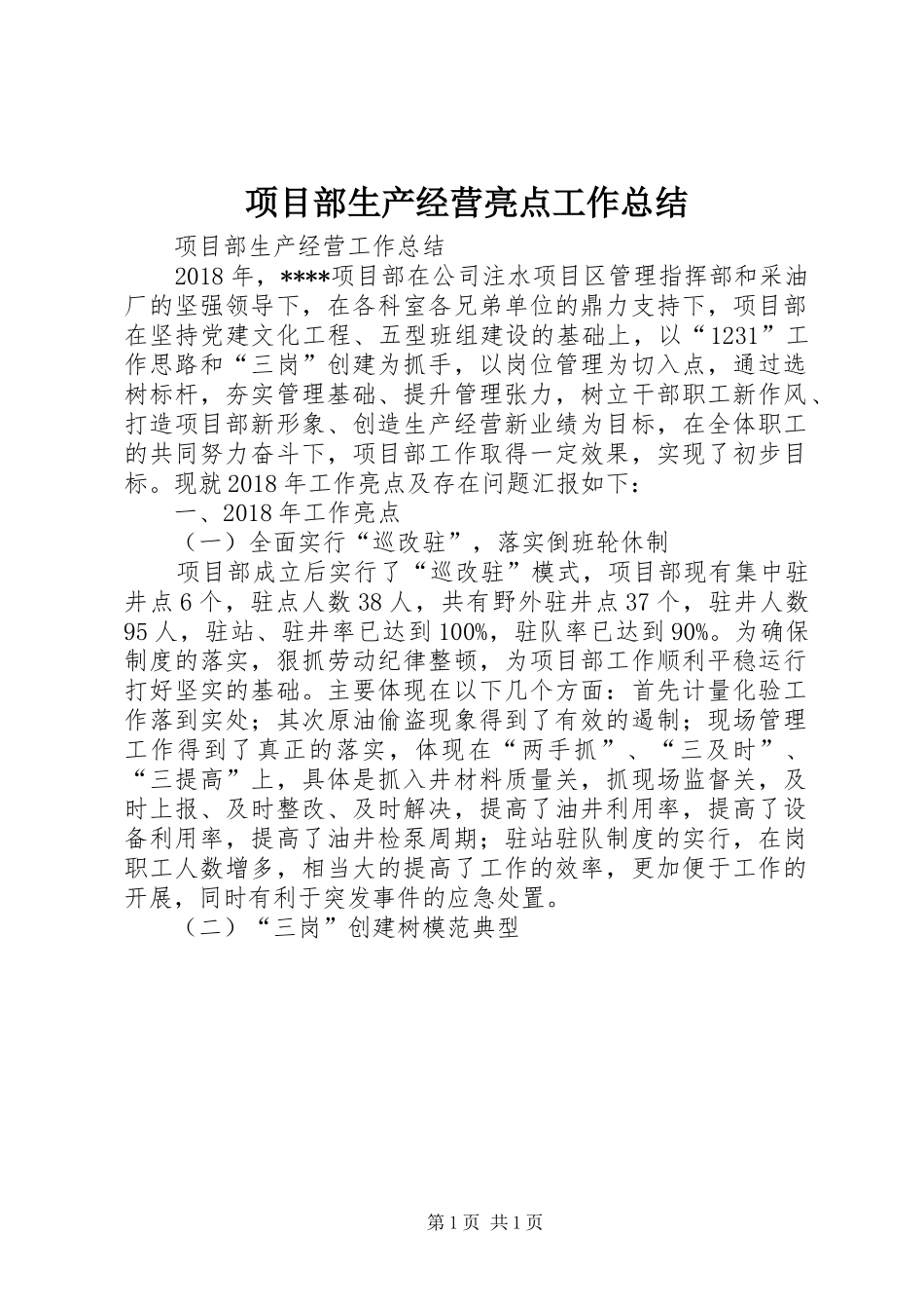 项目部生产经营亮点工作总结_第1页