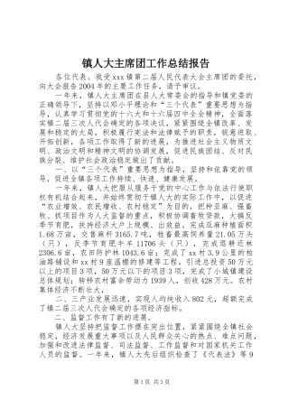 镇人大主席团工作总结报告