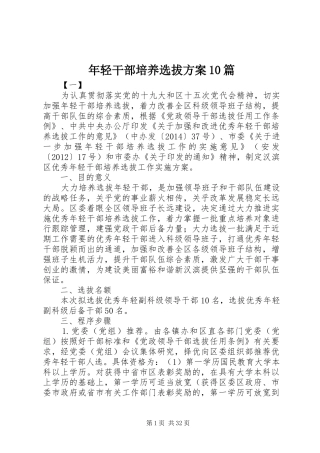 年轻干部培养选拔方案10篇