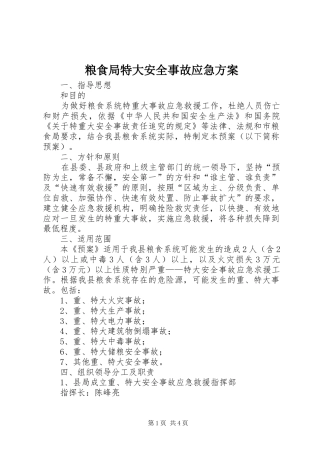 粮食局特大安全事故应急方案