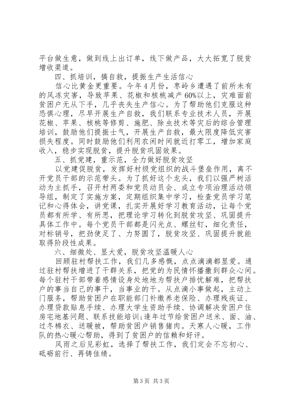 驻村工作队典型工作总结材料_第3页