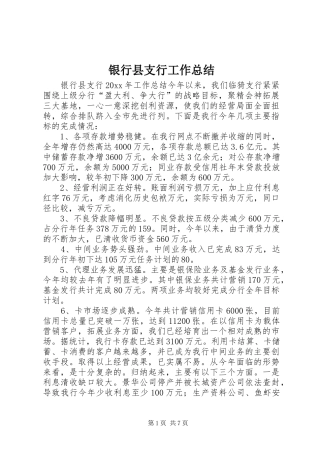 银行县支行工作总结