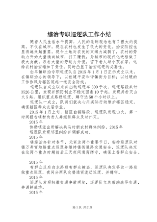 综治专职巡逻队工作小结