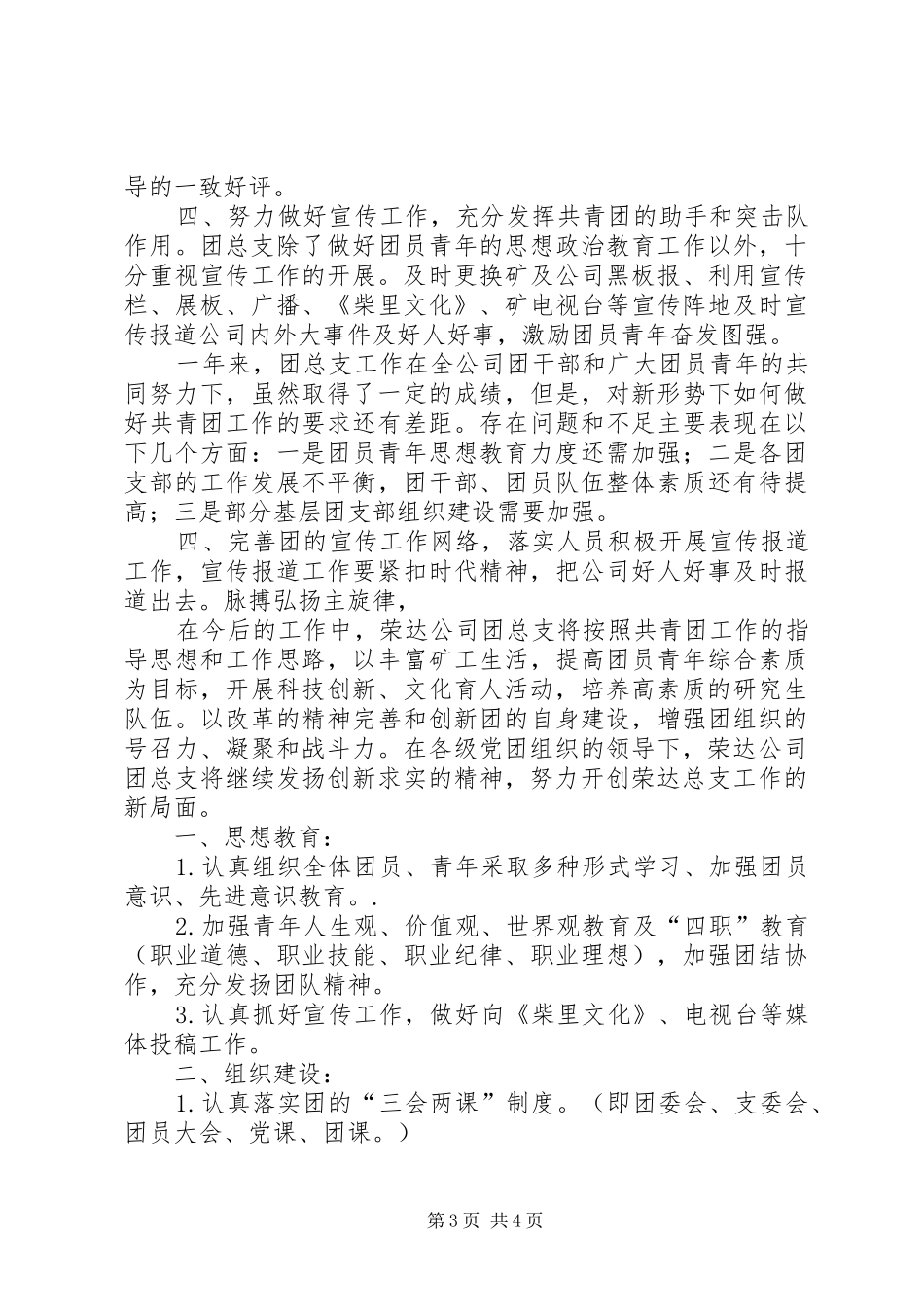 盛源荣达团总支团务总结_第3页