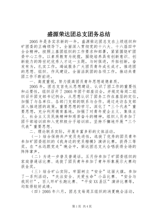 盛源荣达团总支团务总结