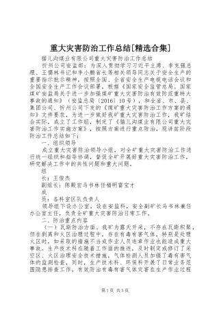 重大灾害防治工作总结[精选合集]