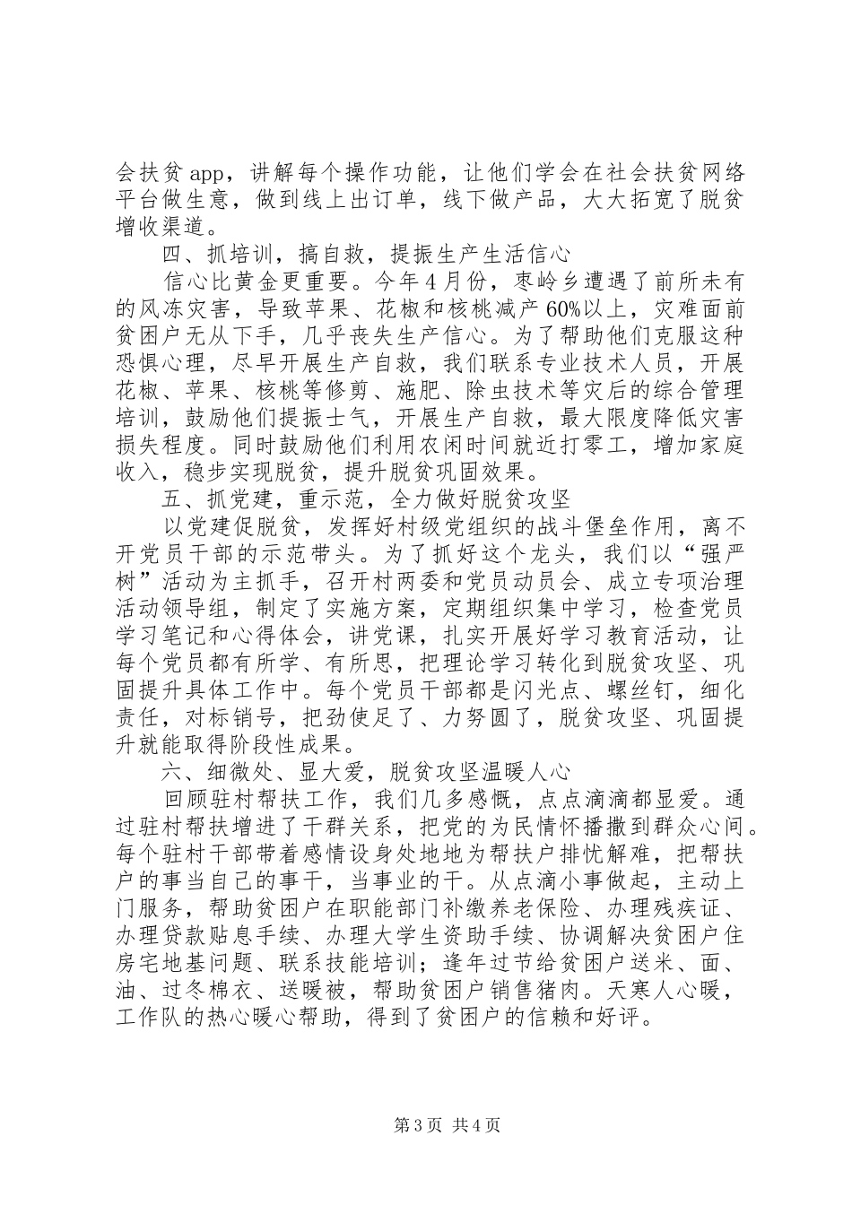 驻村工作队典型总结材料_第3页