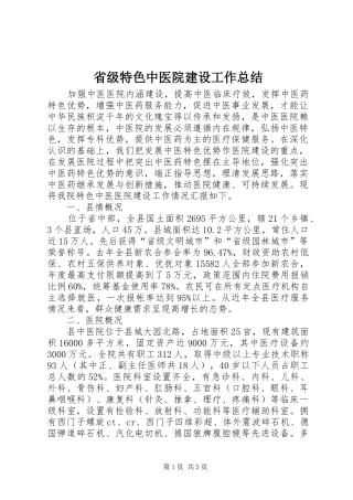 省级特色中医院建设工作总结