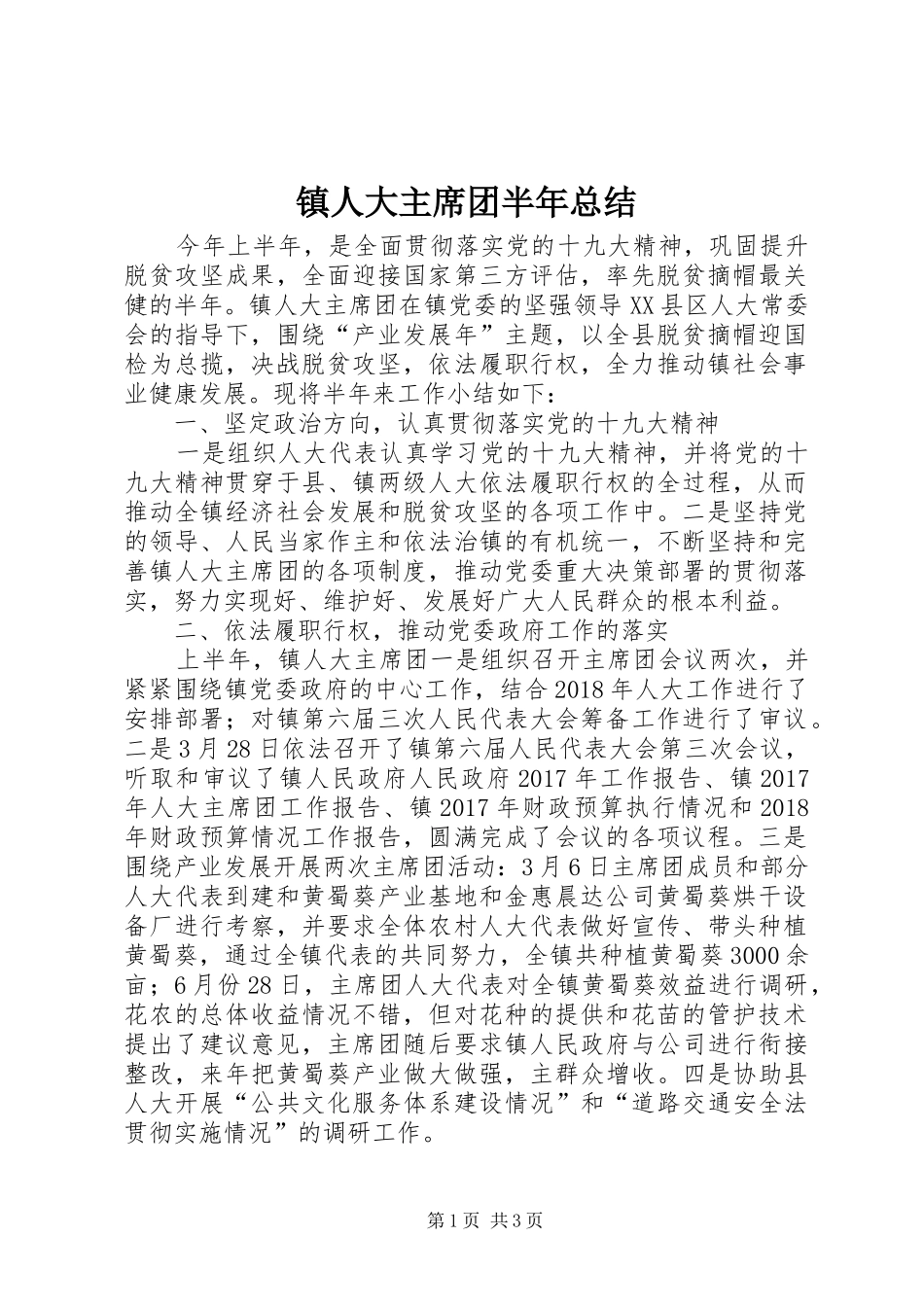 镇人大主席团半年总结_第1页