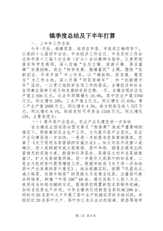 镇季度总结及下半年打算