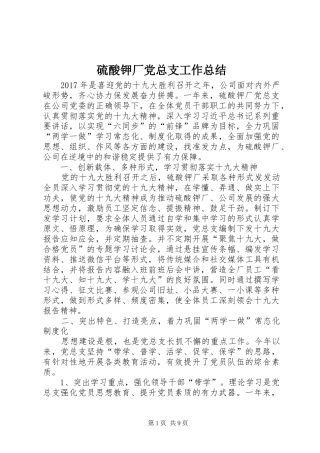 硫酸钾厂党总支工作总结