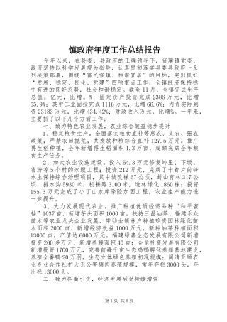 镇政府年度工作总结报告