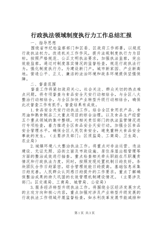 行政执法领域制度执行力工作总结汇报