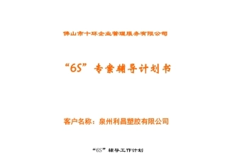 “6S”专案辅导计划书