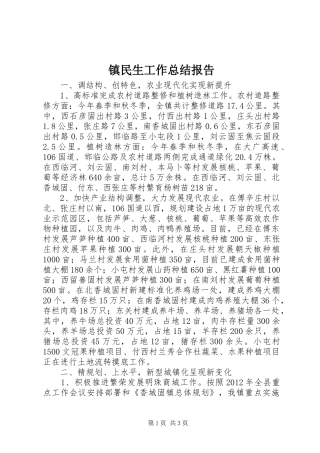 镇民生工作总结报告