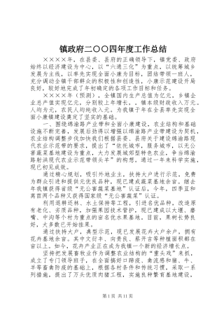 镇政府二○○四年度工作总结