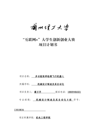 互联网加大学生创新创业大赛项目计划书