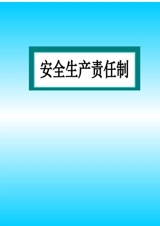 安全生产责任制电子版