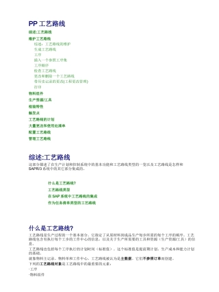 PP工艺路线(1)