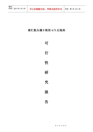某镇项目可行性研究报告