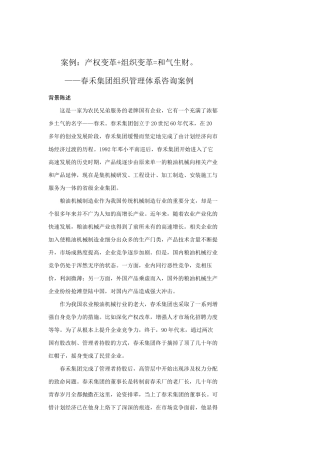 某集团组织管理体系咨询案例(doc 20页)