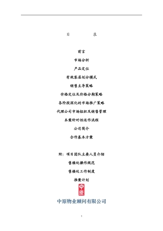 某项目策划报告(doc 41页)