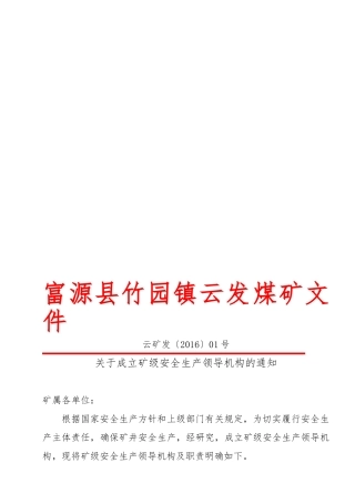 安全管理机构成立文件(35页)