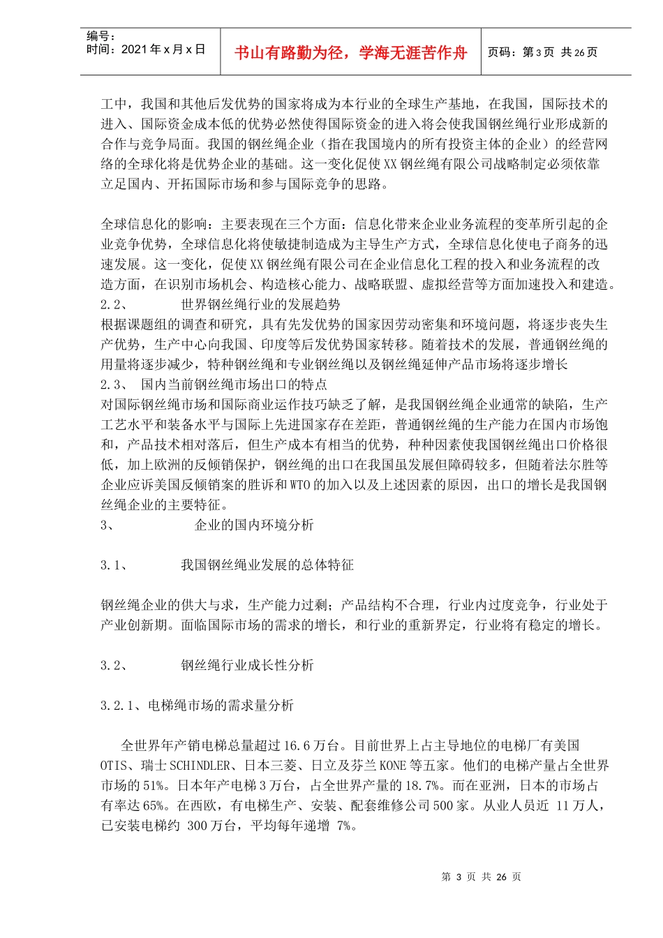 某钢丝绳有限公司战略研究报告_第3页