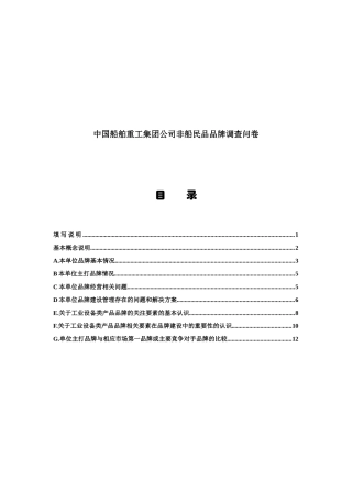 某集团公司非船民品品牌调查问卷