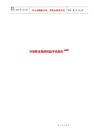 某鞋业集团年度风险评估报告