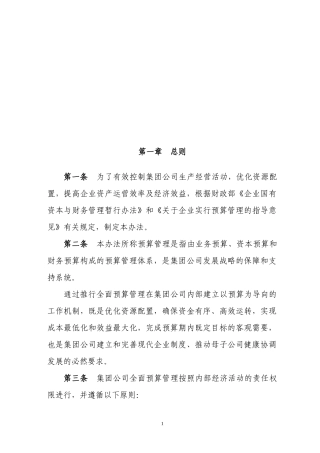 某集团公司预算的管理办法