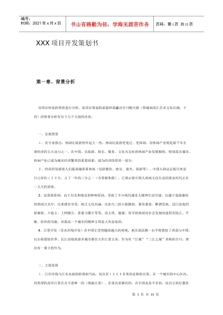 某项目开发策划书