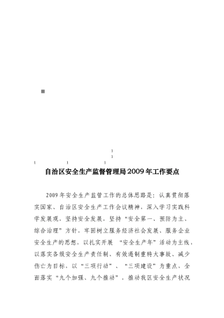 自治区安全生产监督管理局年度工作要点