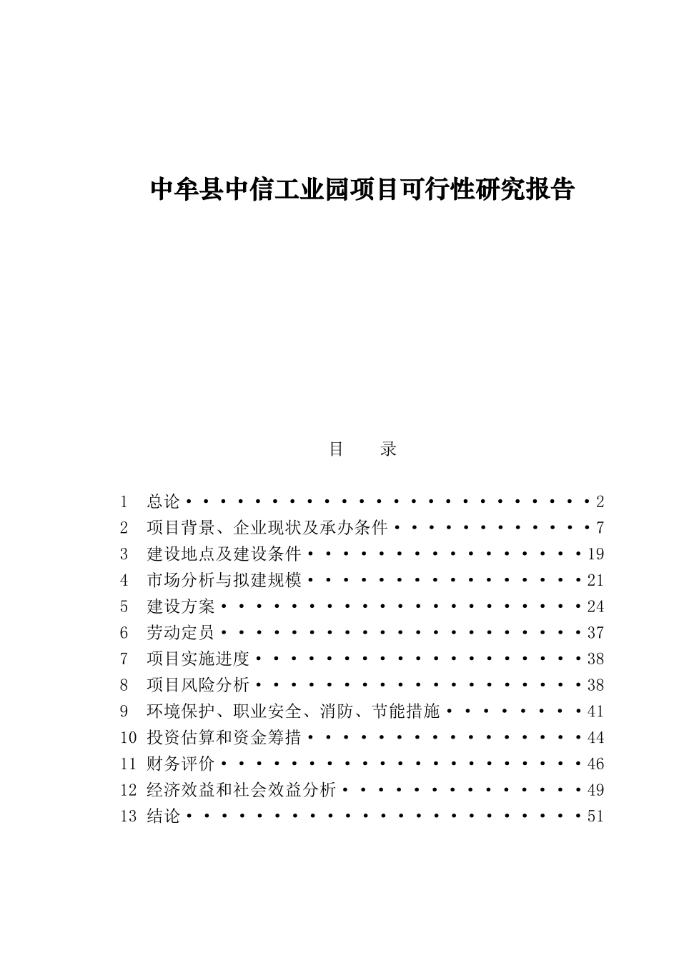某项目可行性研究报告(doc 30页)_第1页