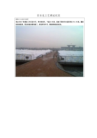 百乐克工艺调试纪实