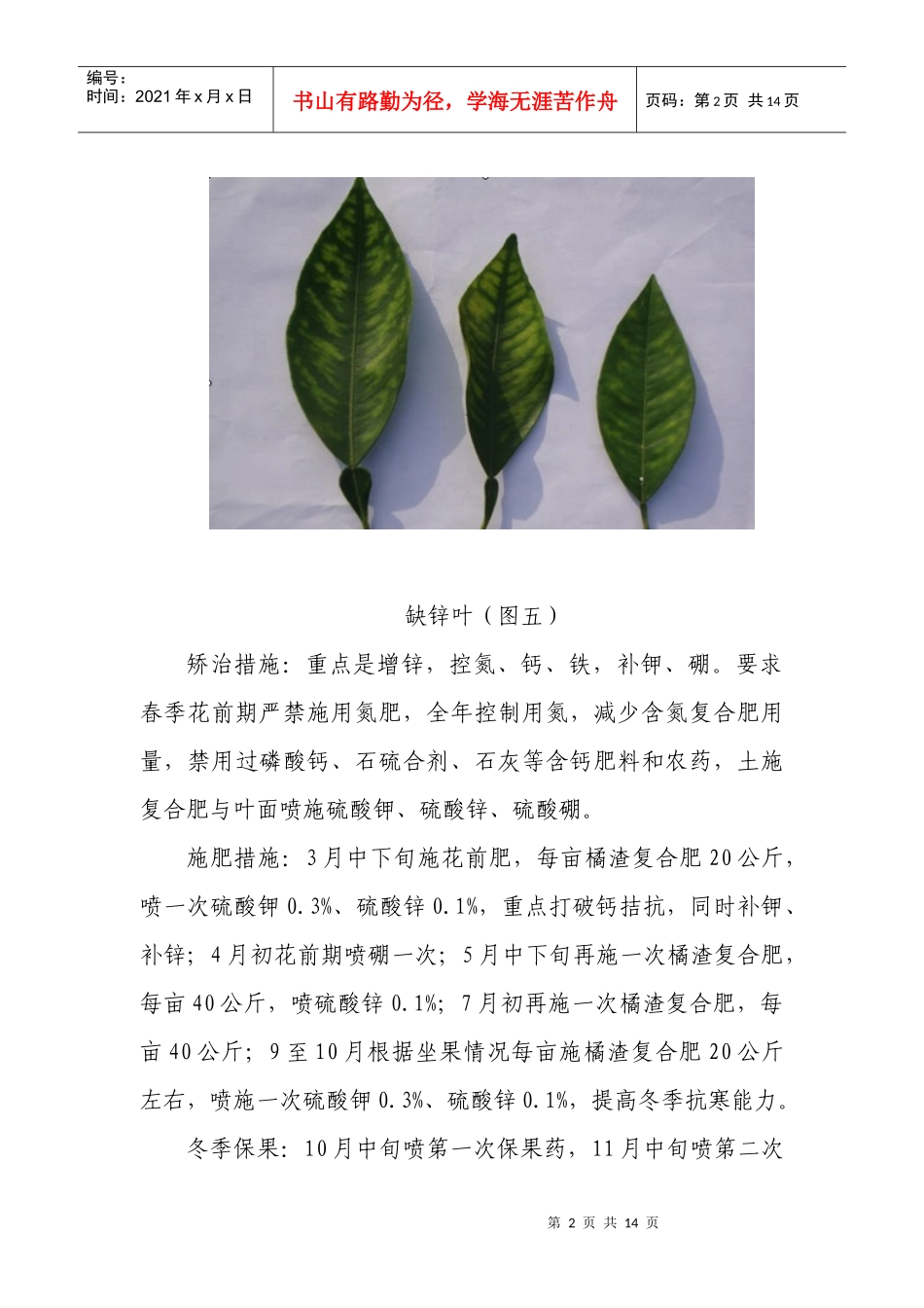 柑橘栽培技术 ——柑橘营养诊断1_第2页