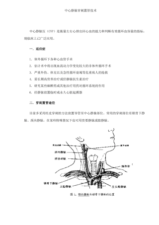 中心静脉穿刺置管技术规范