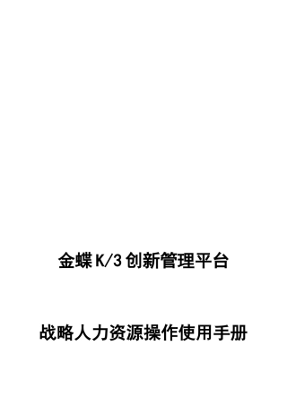 某软件公司战略人力资源操作使用手册