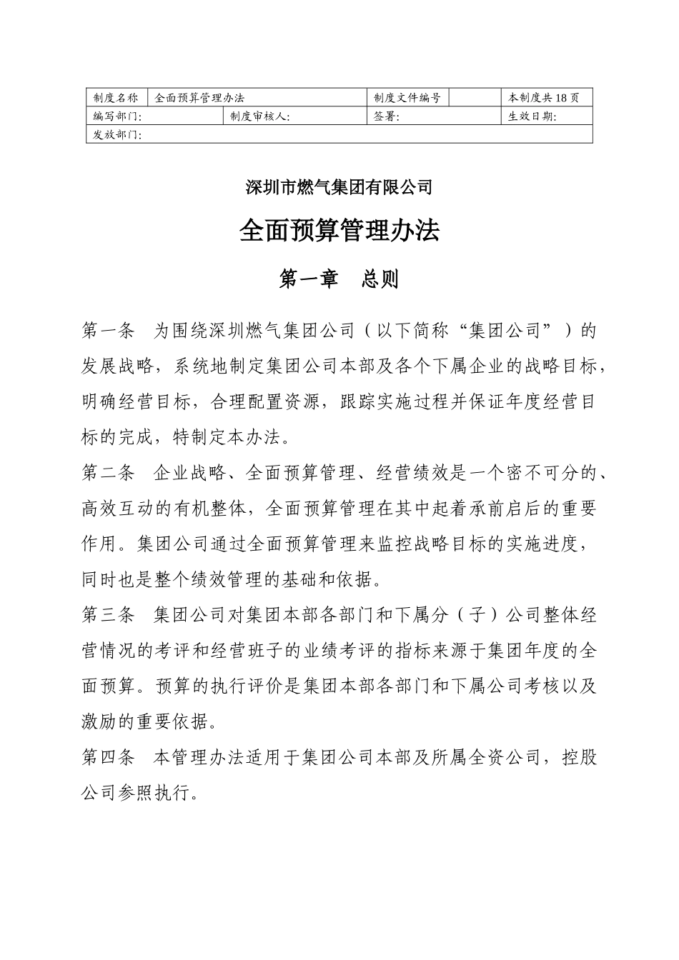 某集团全面预算管理办法_第1页