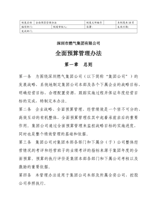 某集团全面预算管理办法