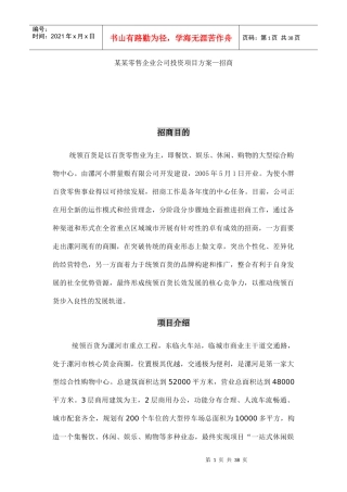 某零售公司招商策划