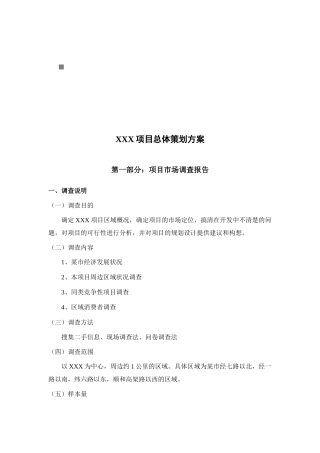 某项目的总体策划方案