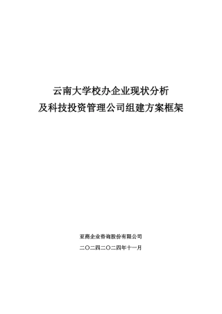 校办企业现状及投资管理公司组建方案框架分析(doc 29)