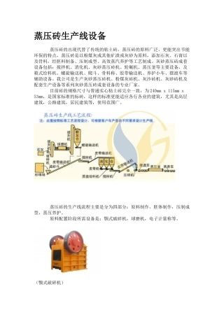 蒸压砖生产设备(37)