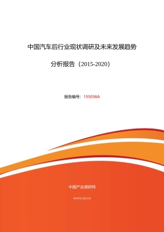 汽车后调研及发展前景分析