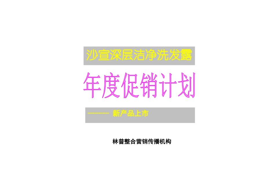 沙宣深层洁净洗发露策划方案_第1页