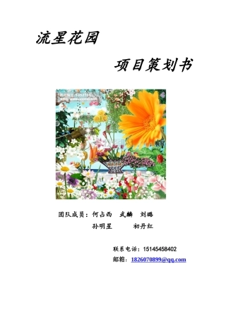 流星花园策划
