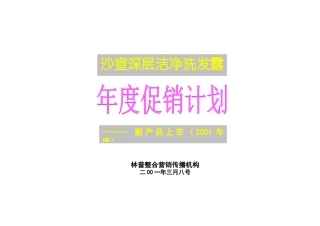 沙宣新产品上市年度促销计划