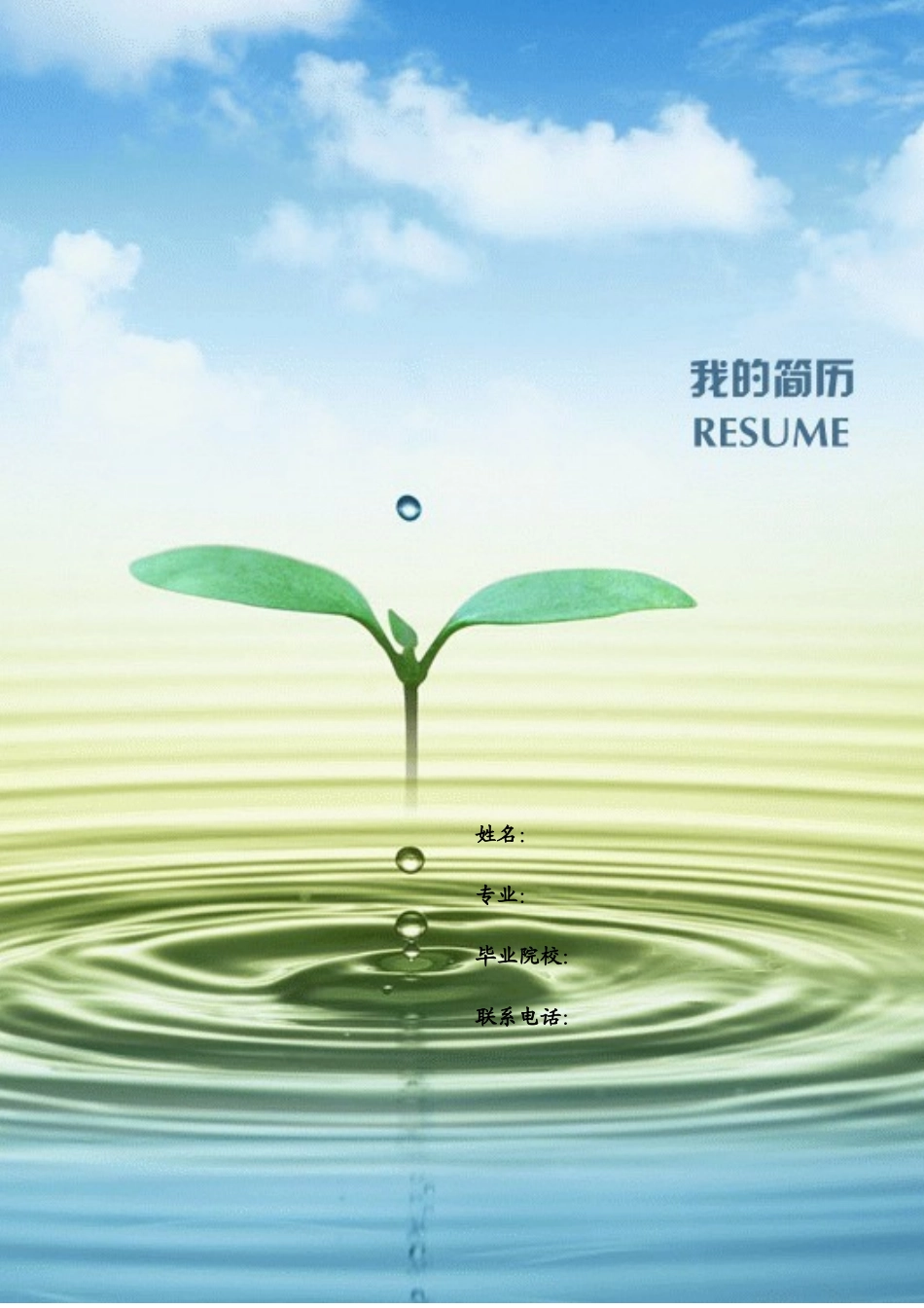 简历模版及封面_第3页